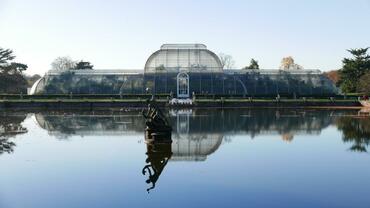 kew-Palm House pond.JPG